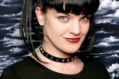 Pauley Perrette Wallpapers   Pauley Perrette   Celebrities