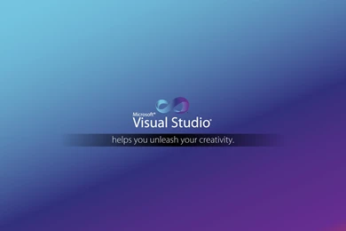 VisualStudio WallPaper 07.jpg Photo By Leeyool