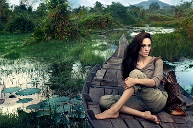 Angelina Jolie Wallpapers (745)   Wallpaperesque