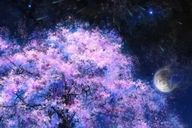 Trees Night Stars Moon 2500x3429 Wallpapers – Space Moons HD ...