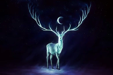 Wallpapers Stars Deer Horns Moon 2560x1600