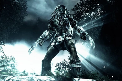 Predator Hunter 1920×1080 Wallpapers 776927