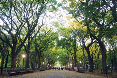 Central Park Backgrounds   Wallpapers Cave