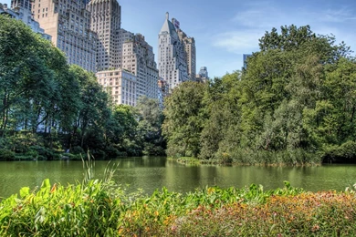 Central Park Wallpapers   HD Wallpaper Backgrounds Of Your Choice