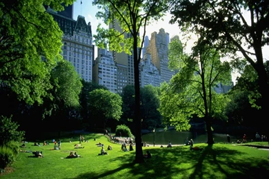 Central Park Backgrounds Desktop