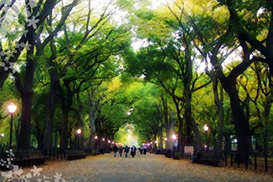 Where Is Wallpaper: Central Park Backgrounds