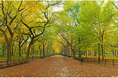 Central park new york wallpaper 215.jpg
