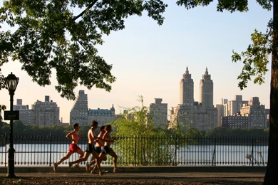 File:Central Park Jogging.jpg   Wikimedia Commons