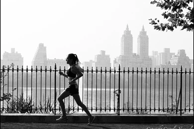 Central Park Reservoir 12003.jpg