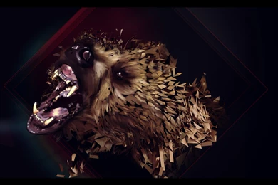 1 Grizzly Bear HD Wallpapers