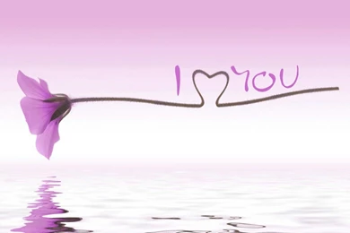 Latest beautiful love i love you heart hd desktop wallpapers ...