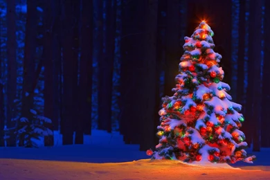 40 Christmas Tree Wallpapers For 2015