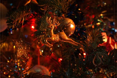 Christmas Tree Decorations Wallpapers Wallpapers