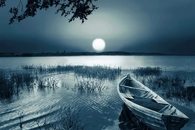 Best Photo Wallpapers   Widescreen HD Wallpapers