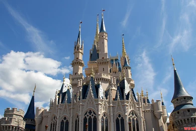 Cinderella Castle: The Back Of Cinderella Castle Against A ...