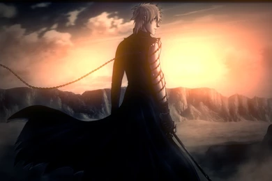 2812 Ichigo Kurosaki HD Wallpapers