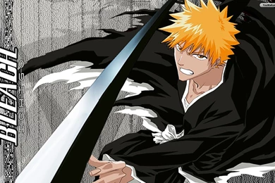 HD Bleach Ichigo Anime Boy Wallpapers Full Size HiReWallpapers 5691