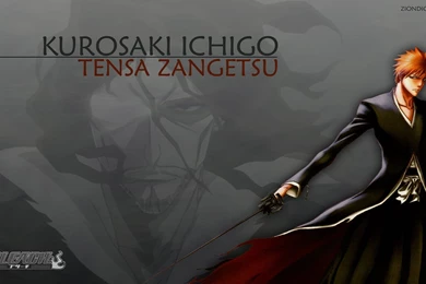 Bleach Wallpapers Ichigo Bankai Wallpapers » WallDevil   Best Free ...