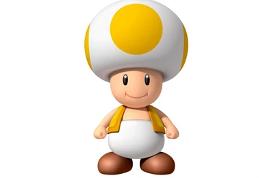 Wallpapers Super Mario Bros Papel De Parede Toad World 1152x864 ...