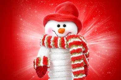 Snow Covered Country Road Wallpapers 7137 2560 X 1600 ...