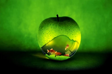 Mac Desktop Backgrounds Program