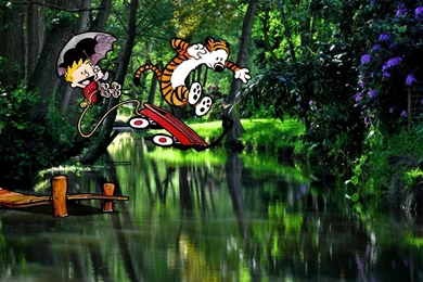 60 Calvin & Hobbes Backgrounds Wallpapers   John Saddington