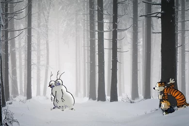 60 Calvin & Hobbes Backgrounds Wallpapers   John Saddington