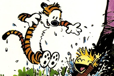 Calvin And Hobbes iPhone 5 Backgrounds
