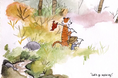 Calvin And Hobbes Art