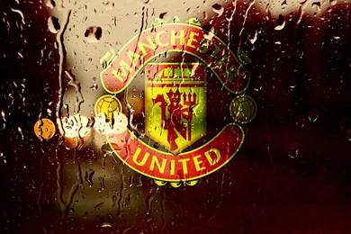Manchester United Players Wallpapers Stunning