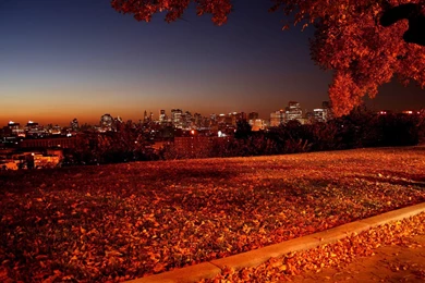 Deers Autumn Wallpapers Pictures Photos Images