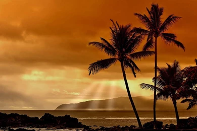 Scarface Sunset Beautiful Wallpaper, HD Desktop Wallpapers