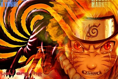 Excellent Sunset Ocean Wallpapers Full Size Image