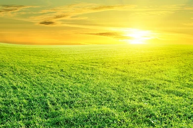 The Most Beautiful Spring Prairie Wallpaper, HD Wallpapers Downloads