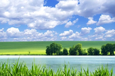 Green Wallpapers HD, Green Backgrounds, Green Pictures And Images ...