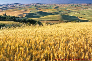 Windows Seven, 1920x1200 HD Wallpapers And FREE Stock Photo