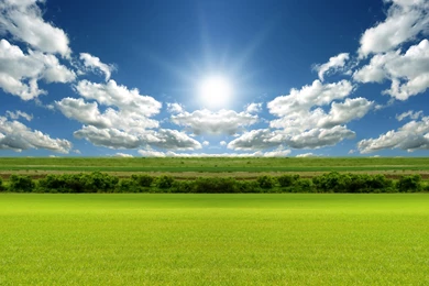 Green Wallpapers HD, Green Backgrounds, Green Pictures And Images ...