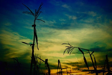 Cool Prairie Wallpapers 5652 1920x1200 Px ~ WallpaperFort.com