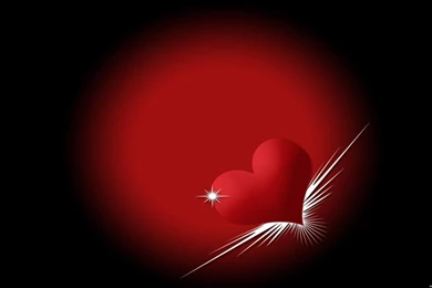 Top Love Wallpapers Wallpapers