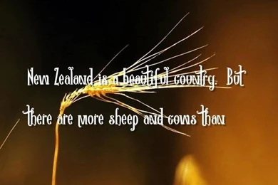 Beautiful, People Quotes Wallpapers   New Zealand Is A Beautiful ...