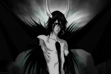 Ulquiorra   Ulquiorra Schiffer Wallpapers (19050851)   Fanpop