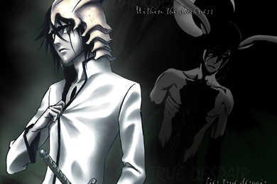 Ulquiorra   Ulquiorra Schiffer Wallpapers (25653245)   Fanpop