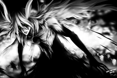 Search Results For Ulquiorra Cifer HD Wallpapers