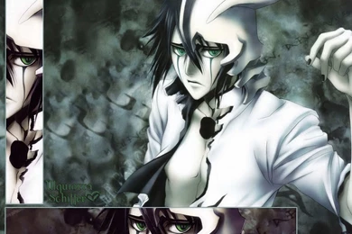 Ulquiorra   Ulquiorra Schiffer Wallpapers (19488003)   Fanpop