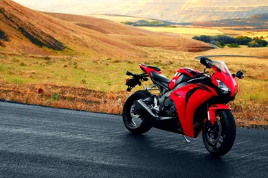 Download The Sitting Still A Rare Moment Wallpaper, Sitting Still ...