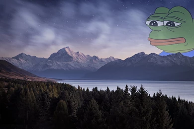 Rare Pepe Wallpapers : Pepethefrog
