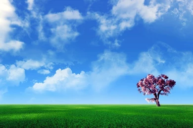 Free Hq Wallpapers,desktop Wallpapers