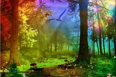 Download Wallpapers, Download 2560x1920 3d Abstract Rainbow Forest ...