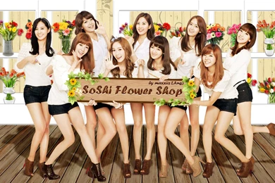 Free Wallpicz: Snsd Desktop Wallpapers Hd