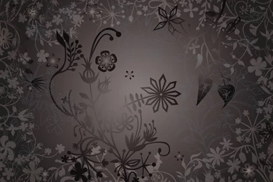 Wallpapers Lenovo Hp Compaq 1366x768